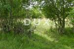 Zemljiste, Matulji, Rupa, prodaja, 200000 €, 5021 m2
