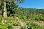 Kuca, Grožnjan, prodaja, 580000 €, 400 m2