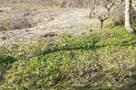 Zemljiste, Vižinada, prodaja, 84000 €, 635 m2