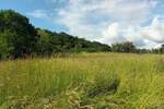 Kuca, Buzet, prodaja, 70000 €, 129 m2