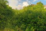 Kuca, Buzet, prodaja, 70000 €, 129 m2