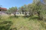 Zemljiste, Sukošan, prodaja, 152400 €, 1016 m2