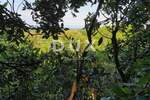 Zemljiste, Ližnjan, prodaja, 206000 €, 1100 m2
