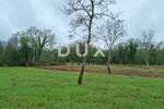Zemljiste, Tinjan, Muntrilj, prodaja, 59000 €, 6161 m2