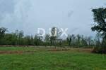 Zemljiste, Tinjan, Muntrilj, prodaja, 59000 €, 6161 m2