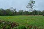 Zemljiste, Tinjan, Muntrilj, prodaja, 59000 €, 6161 m2