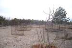 Zemljiste, Punat, prodaja, 112000 €, 3620 m2