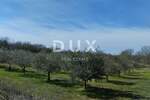 Zemljiste, Poreč, prodaja, 200000 €, 6419 m2
