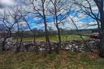 Zemljiste, Marčana, Cokuni, prodaja, 260000 €, 3352 m2