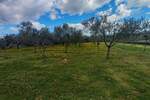 Zemljiste, Marčana, Cokuni, prodaja, 260000 €, 3352 m2
