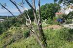 Zemljiste, Kraljevica, prodaja, 145000 €, 1591 m2