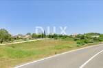 Zemljiste, Žminj, prodaja, 160000 €, 2038 m2