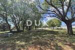 Kuca, Barban, prodaja, 690000 €, 240 m2