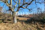 Zemljiste, Vodnjan, prodaja, 400000 €, 45472 m2