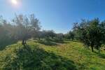 Zemljiste, Fažana, prodaja, 105000 €, 2252 m2