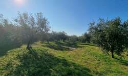 Zemljiste, Fažana, prodaja, 105000 €, 2252 m2