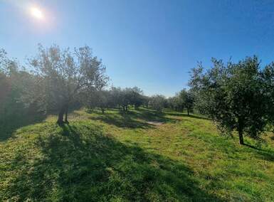 Zemljiste, Fažana, prodaja, 105000 €, 2252 m2