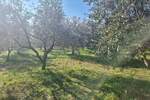 Zemljiste, Fažana, prodaja, 105000 €, 2252 m2