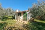 Zemljiste, Fažana, prodaja, 105000 €, 2252 m2