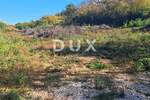 Zemljiste, Buje, prodaja, 32000 €, 6039 m2