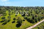 Zemljiste, Poreč, prodaja, 2300000 €, 11770 m2