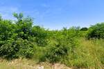 Zemljiste, Barban, prodaja, 500000 €, 6153 m2