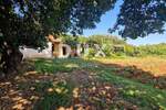 Kuca, Rovinj, prodaja, 1500000 €, 270 m2