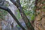 Kuca, Labin, Rabac, prodaja, 150000 €, 324 m2