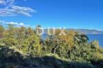 Zemljiste, Labin, Rabac, prodaja, 4625000 €, 22000 m2