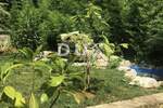 Kuca, Pula, Veruda, prodaja, 860000 €, 374 m2