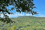 Kuca, Pićan, prodaja, 265000 €, 320 m2