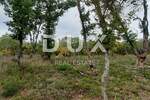 Zemljiste, Vodnjan, Barbariga, prodaja, 15000 €, 500 m2