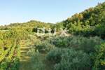 Zemljiste, Gračišće, prodaja, 45000 €, 4067 m2