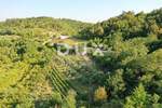 Zemljiste, Gračišće, prodaja, 45000 €, 4067 m2
