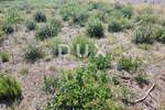 Zemljiste, Pula, Monte Magno, prodaja, 625000 €, 5837 m2