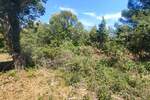Zemljiste, Medulin, Premantura, prodaja, 338000 €, 1300 m2