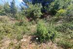 Zemljiste, Medulin, Premantura, prodaja, 338000 €, 1300 m2