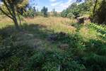 Zemljiste, Medulin, Premantura, prodaja, 338000 €, 1300 m2