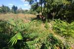 Zemljiste, Medulin, Premantura, prodaja, 338000 €, 1300 m2