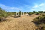 Zemljiste, Vodnjan, prodaja, 230000 €, 7379 m2
