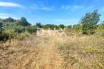 Zemljiste, Vodnjan, prodaja, 230000 €, 7379 m2