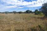 Zemljiste, Fažana, prodaja, 105000 €, 1289 m2