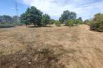 Zemljiste, Fažana, prodaja, 105000 €, 1289 m2