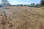 Zemljiste, Fažana, prodaja, 105000 €, 1289 m2