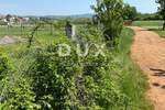 Zemljiste, Novigrad, prodaja, 80000 €, 7000 m2