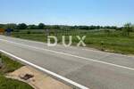 Zemljiste, Novigrad, prodaja, 80000 €, 7000 m2