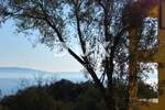 Kuca, Labin, Rabac, prodaja, 990000 €, 438 m2