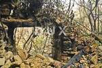 Kuca, Motovun, prodaja, 315000 €, 443 m2