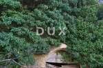 Kuca, Motovun, prodaja, 315000 €, 443 m2