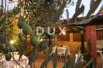 Kuca, Novigrad, prodaja, 2300000 €, 900 m2